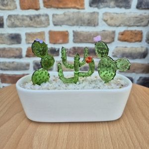 Cam Kaktüs Saksı